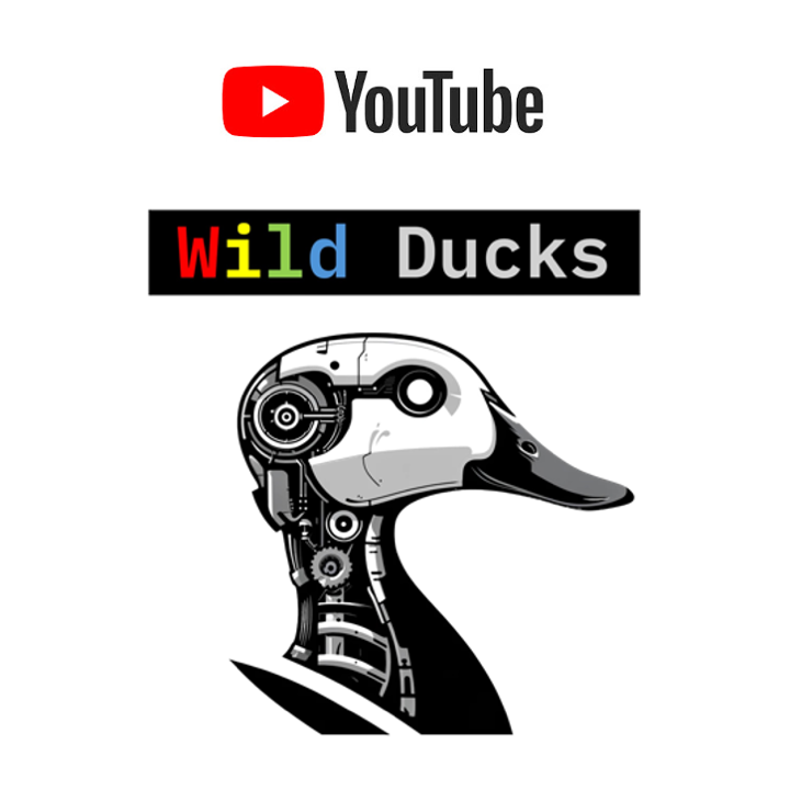Wild Ducks YouTube